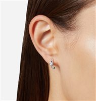 Orecchini Chiara Ferragni Donna in Argento J19AXD04 - J19AXD04